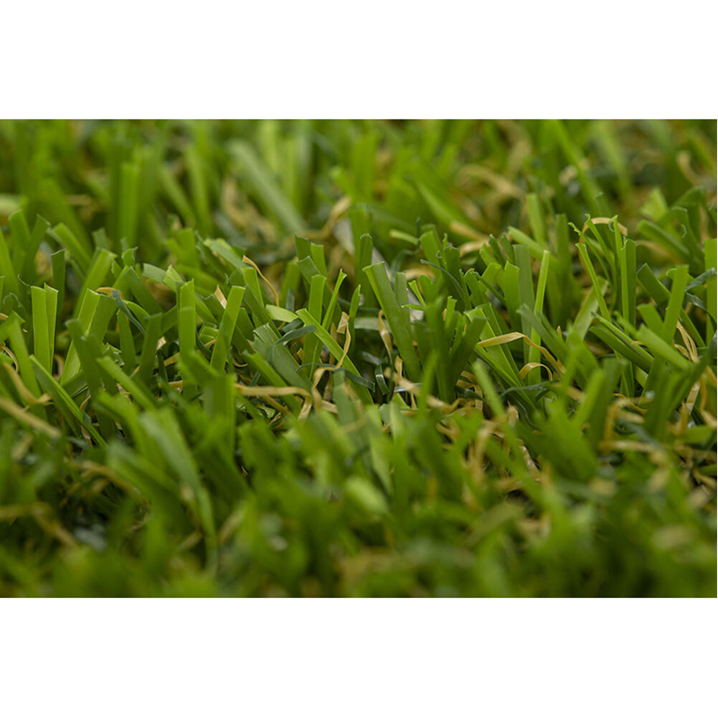 Alva-Turfgrass-Lime-M