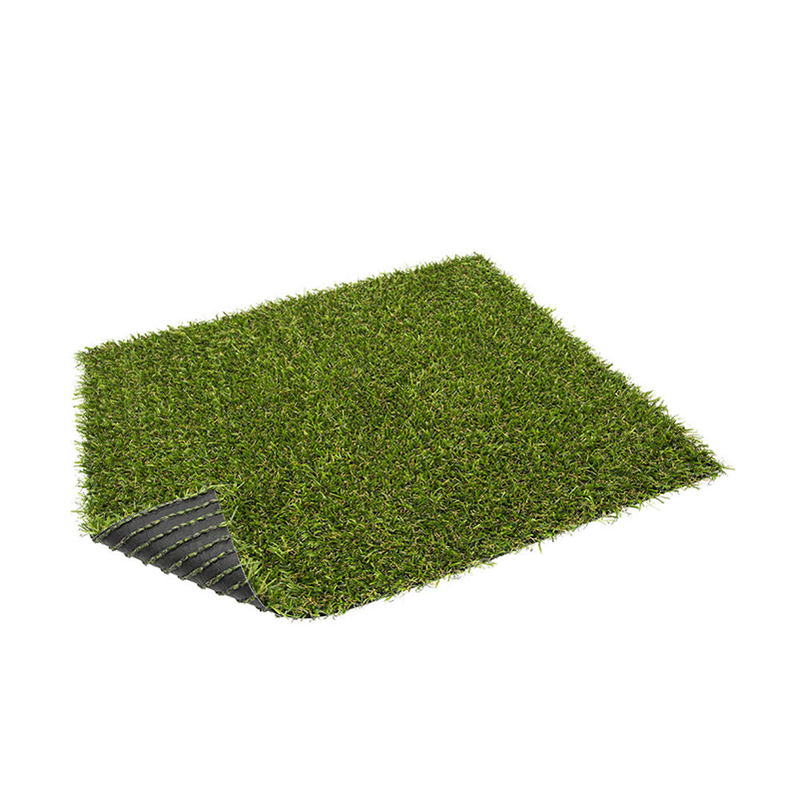 Alva-Turfgrass-Lime